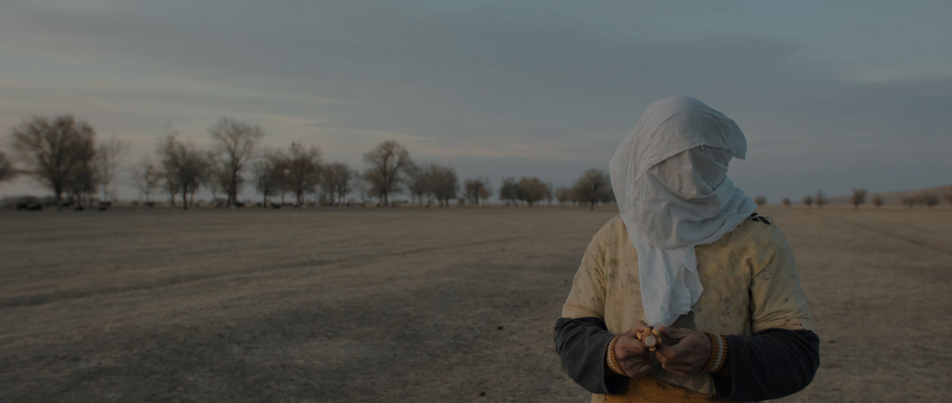 5_Filmkritik_Dark Dark Man