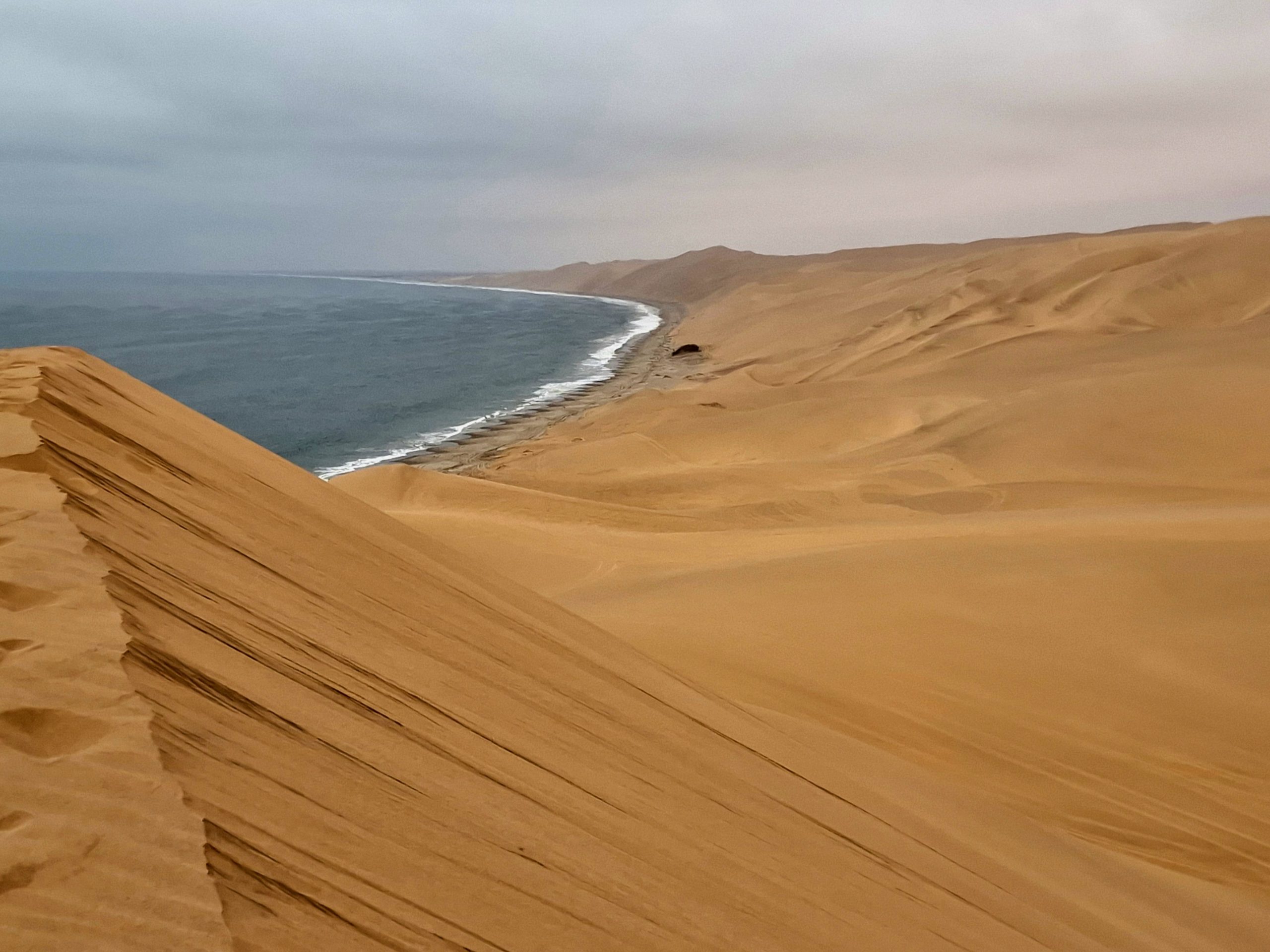 Namib Desert and Sea